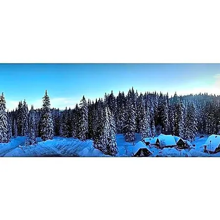 호텔 Pokljuka 3*